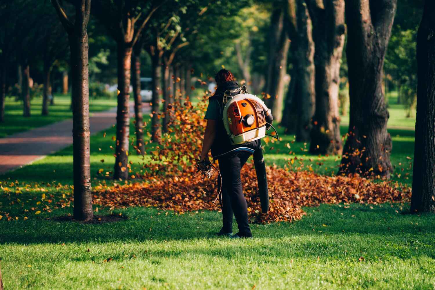 Tree Health Inspection in Timpson, TX